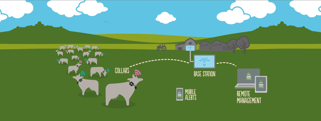 Dairy Farm Monitoring System Veterinary Hub