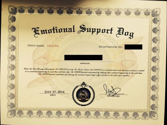 Register your Dog for Emotional Support Animal Certificate | Veterinary Hub